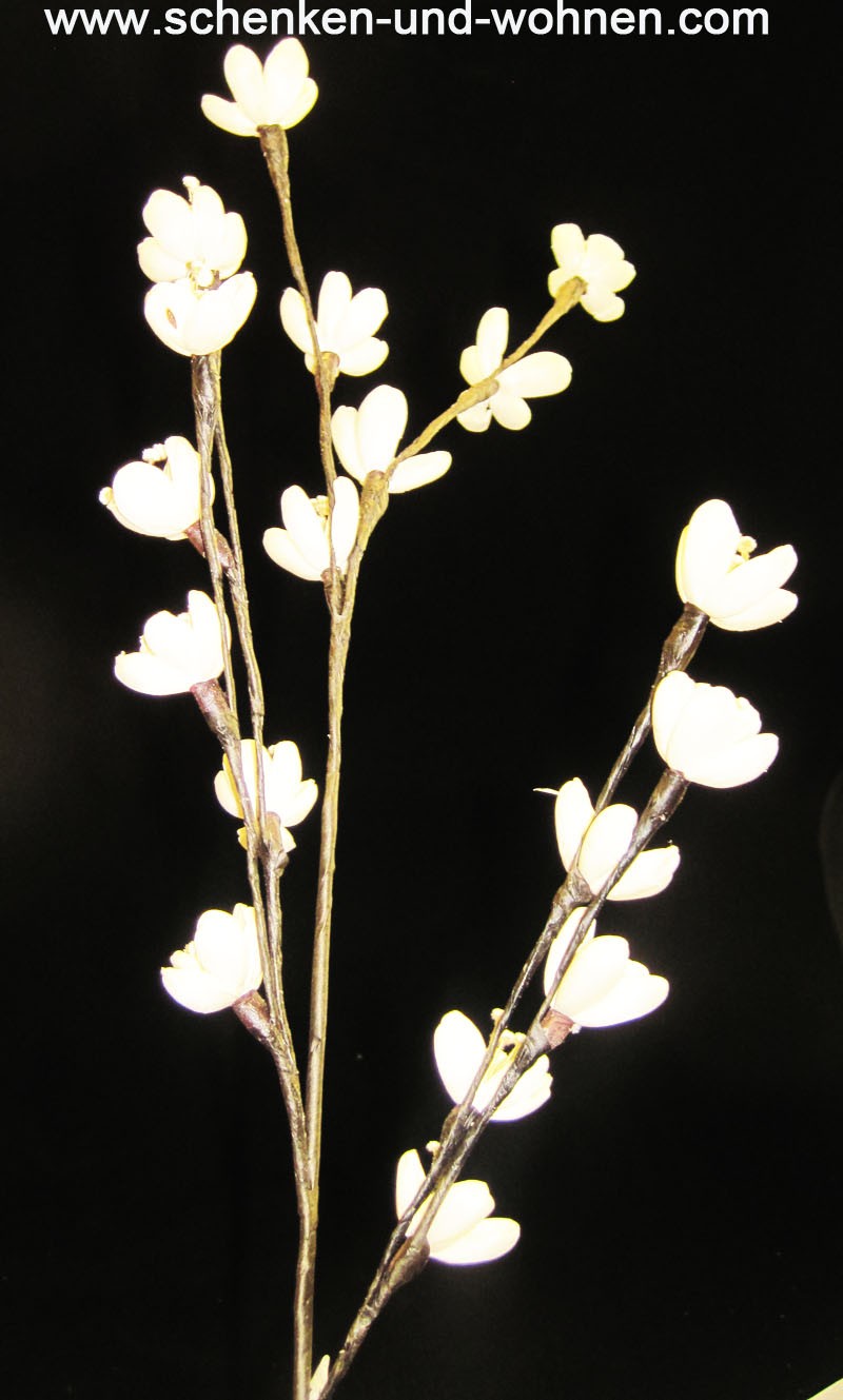 Naturblume - Solarpflanze, Kirschblüte ca. 80 cm lang