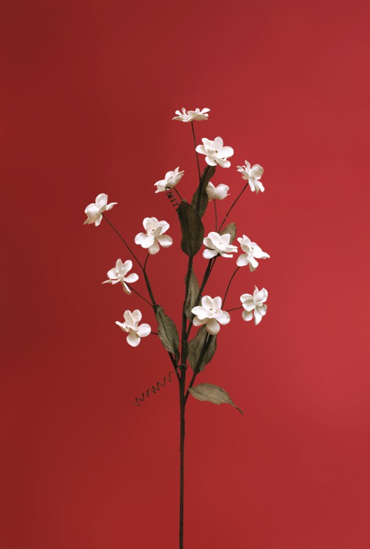 Naturblume - Solarpflanze Jasmin 92 cm