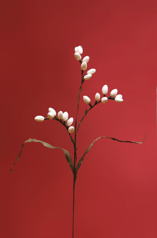 Naturblume - Solarpflanze Weidenkätzchen 85 cm