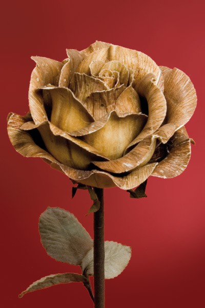 Rose braun