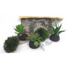 Kunstblume Kaktus auf Erdsockel sortiert  ca. 9cm