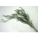 1 Dekozweig Beifuß grün-silber, Frostoptik ca. 120cm 