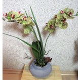 Kunstpflanze Phalaenopsis 2 Triebe mit Sukkulenten im Topf grün-lila ca. 48cm