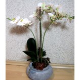 Kunstpflanze Phalaenopsis 3 Triebe mit Sukkulenten im Topf Weiß  ca. 65 cm