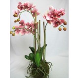 Kunstpflanze Phalaenopsis 4 Triebe auf Mooskugel ca. 54cm