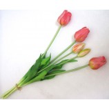 Tulpenbund französisch gemischt,  rosa ca. 47cm